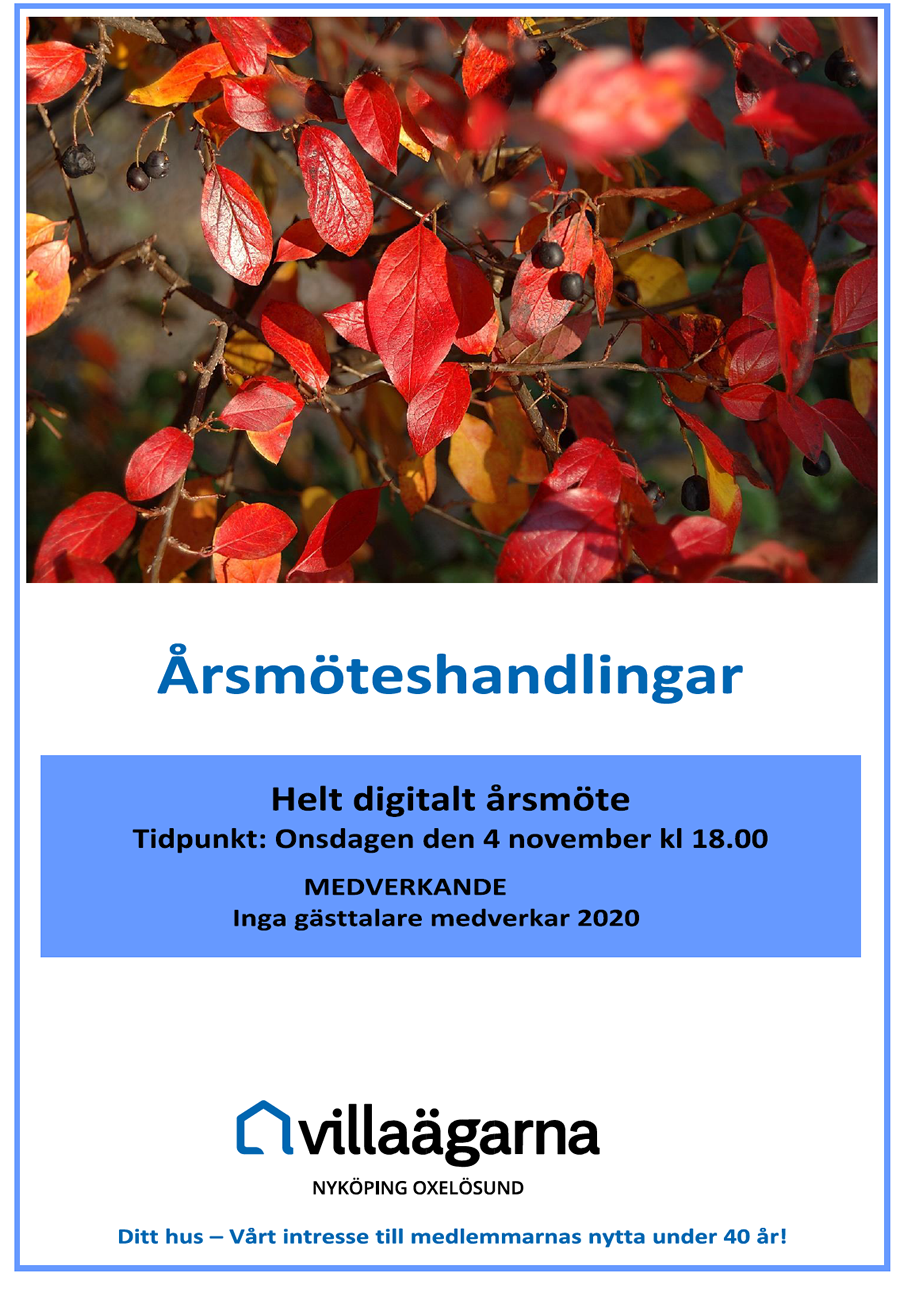 Årsmöteshandlingar 900p 2020